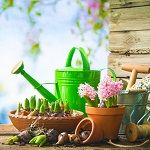 DIY und Gartenarbeit