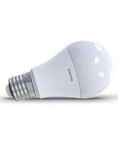 LED Bulb A60 10W E27 socket - cold light 5228 Shanyao